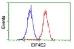 EIF4E2 Antibody in Flow Cytometry (Flow)