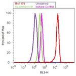 eIF5A Antibody in Flow Cytometry (Flow)