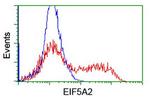 EIF5A2 Antibody in Flow Cytometry (Flow)