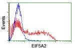 EIF5A2 Antibody in Flow Cytometry (Flow)