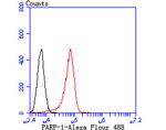 PARP1 Antibody in Flow Cytometry (Flow)