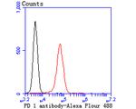 PD1 Blocking Antibody in Flow Cytometry (Flow)