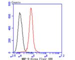 MMP9 Antibody in Flow Cytometry (Flow)