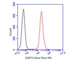 ZAP70 Antibody in Flow Cytometry (Flow)