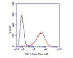 Cytokeratin 17 Antibody in Flow Cytometry (Flow)