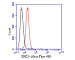 ERK2 Antibody in Flow Cytometry (Flow)