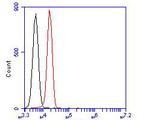 Albumin Antibody in Flow Cytometry (Flow)