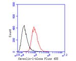 Caveolin-1 Antibody in Flow Cytometry (Flow)