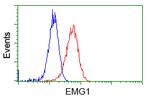 EMG1 Antibody in Flow Cytometry (Flow)