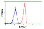 EMG1 Antibody in Flow Cytometry (Flow)