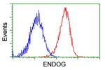 ENDOG Antibody in Flow Cytometry (Flow)