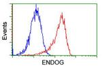 ENDOG Antibody in Flow Cytometry (Flow)