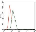 NSE Antibody in Flow Cytometry (Flow)