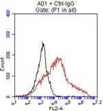 EPCAM Antibody in Flow Cytometry (Flow)