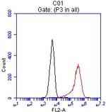 EPCAM Antibody in Flow Cytometry (Flow)