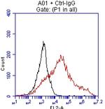 EPCAM Antibody in Flow Cytometry (Flow)