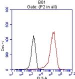 EPCAM Antibody in Flow Cytometry (Flow)