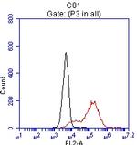 EPCAM Antibody in Flow Cytometry (Flow)