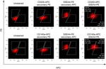 CD201 (EPCR) Antibody in Immunocytochemistry (ICC/IF)