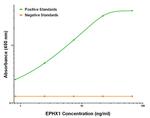 EPHX1 Antibody in ELISA (ELISA)