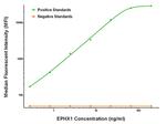 EPHX1 Antibody in Luminex (LUM)