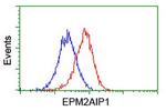 EPM2AIP1 Antibody in Flow Cytometry (Flow)