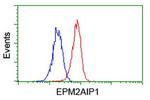 EPM2AIP1 Antibody in Flow Cytometry (Flow)