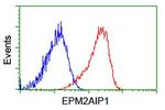 EPM2AIP1 Antibody in Flow Cytometry (Flow)