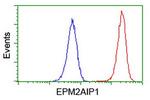 EPM2AIP1 Antibody in Flow Cytometry (Flow)