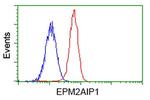 EPM2AIP1 Antibody in Flow Cytometry (Flow)