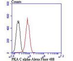 USP36 Antibody in Flow Cytometry (Flow)