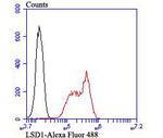 LSD1 Antibody in Flow Cytometry (Flow)