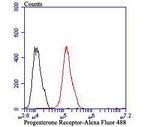 Progesterone Receptor Antibody in Flow Cytometry (Flow)