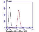 Dnmt3b Antibody in Flow Cytometry (Flow)