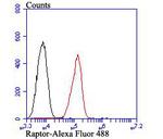 Raptor Antibody in Flow Cytometry (Flow)