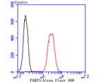 PARP1 Antibody in Flow Cytometry (Flow)