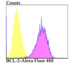 Bcl-2 Antibody in Flow Cytometry (Flow)