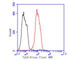 Tyk2 Antibody in Flow Cytometry (Flow)