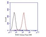 P2X7 Antibody in Flow Cytometry (Flow)