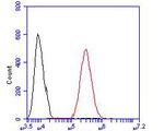 KCNMA1 Antibody in Flow Cytometry (Flow)