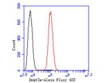 DNMT3A Antibody in Flow Cytometry (Flow)