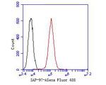 SAP97 Antibody in Flow Cytometry (Flow)