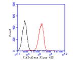 Flt3 Antibody in Flow Cytometry (Flow)