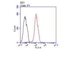 Androgen Receptor Antibody in Flow Cytometry (Flow)