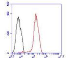 IRS1 Antibody in Flow Cytometry (Flow)