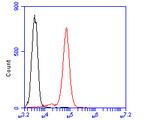 CD28 Antibody in Flow Cytometry (Flow)