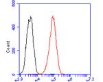 TREM2 Antibody in Flow Cytometry (Flow)