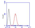 GRK1 Antibody in Flow Cytometry (Flow)