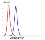 GRB2 Antibody in Flow Cytometry (Flow)