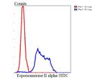 Topoisomerase II alpha Antibody in Flow Cytometry (Flow)